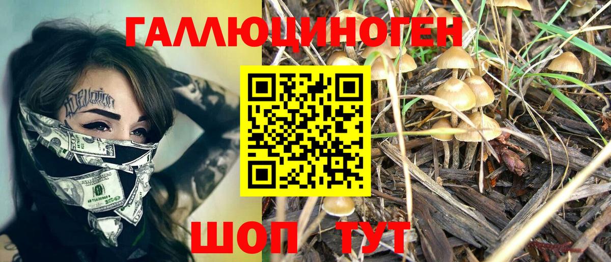 Тосно  Галлюциногенные грибы ЛСД  Вход с VPN 