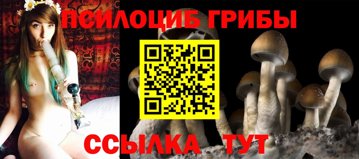 Галлюциногенные грибы Cubensis Тосно